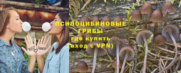 СК Валуйки
