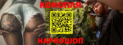 крисы Беслан