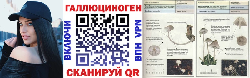 Псилоцибиновые грибы Psilocybine cubensis  Грязи 