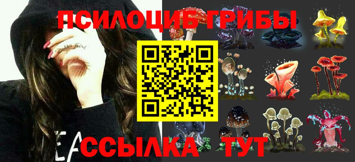 Псилоцибиновые грибы MAGIC MUSHROOMS Грязи