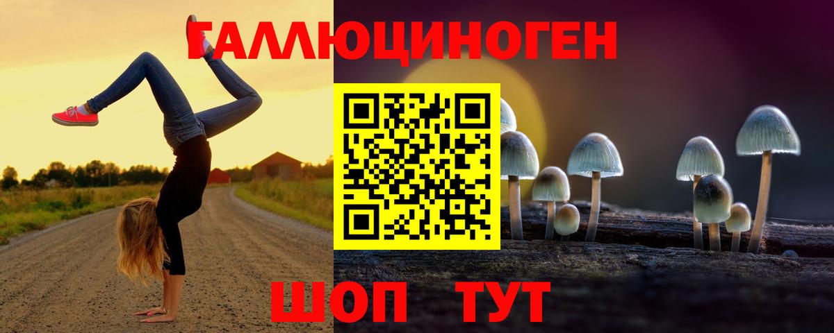 Псилоцибиновые грибы GOLDEN TEACHER  Вход с VPN  Грязи 